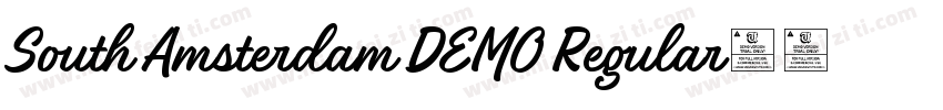 South Amsterdam DEMO Regular字体转换